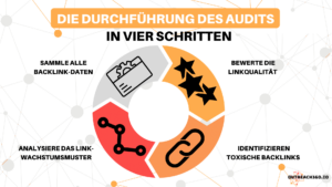Infografik: Die Durchführung des Audits in vier Schritten